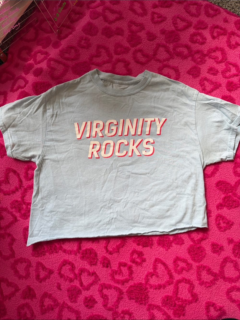Danny Duncan Cropped Graphic Tee - VIRGINITY ROCKS